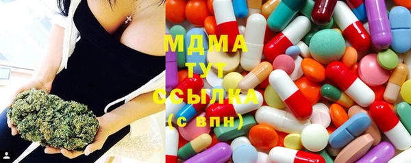ПСИЛОЦИБИНОВЫЕ ГРИБЫ Вязники