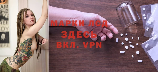 ПСИЛОЦИБИНОВЫЕ ГРИБЫ Вязники