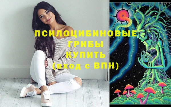 а пвп мука Горно-Алтайск